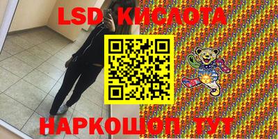 мдпв Гусев