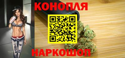 мдпв Гусев