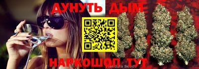 мдпв Гусев