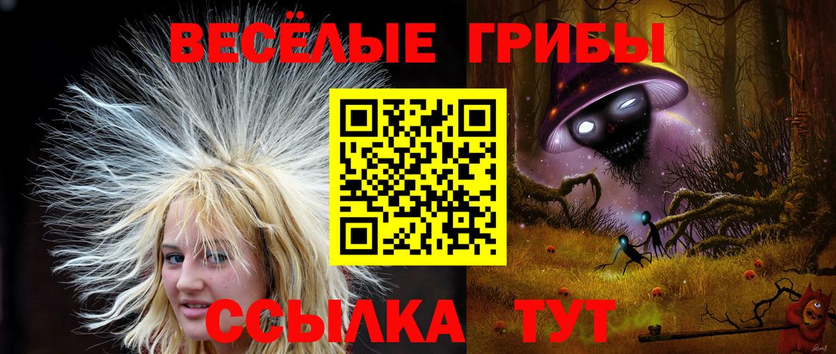 Галлюциногенные грибы Psilocybine cubensis Верхняя Пышма