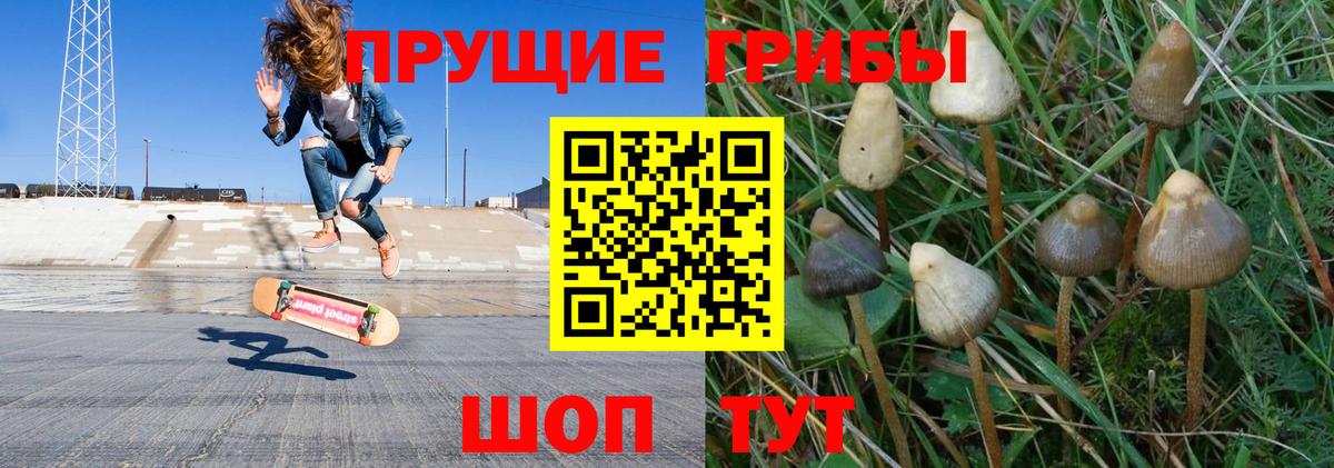 ГАШИШ  Вход с VPN  Кокаин  Экстази  Верхняя Пышма  Бошки Шишки  Меф   А ПВП СОЛЬ   МАРИХУАНА 
