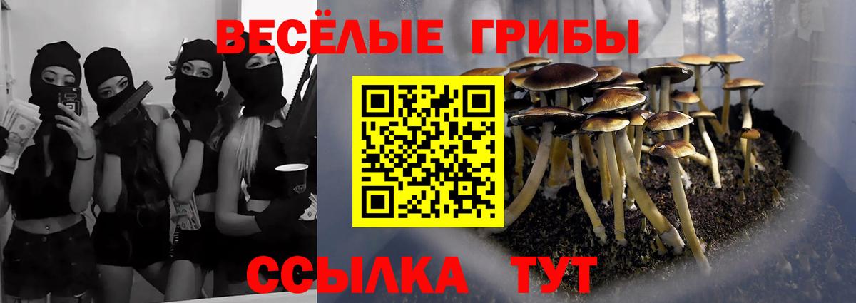 Верхняя Пышма  Галлюциногенные грибы мухоморы  где купить   Вход с VPN 